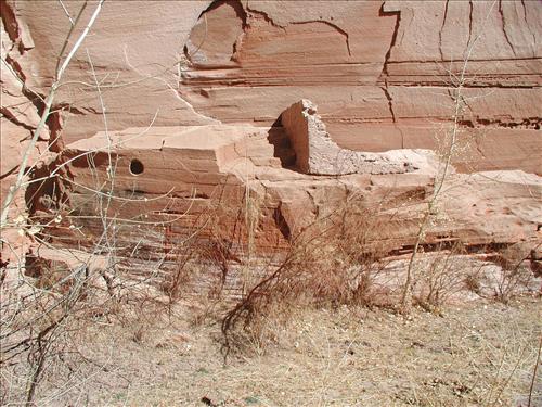 Exotic Species Removal Planning at Canyon de Chelly National Monument, Chinle, AZ - Views Near Ruins