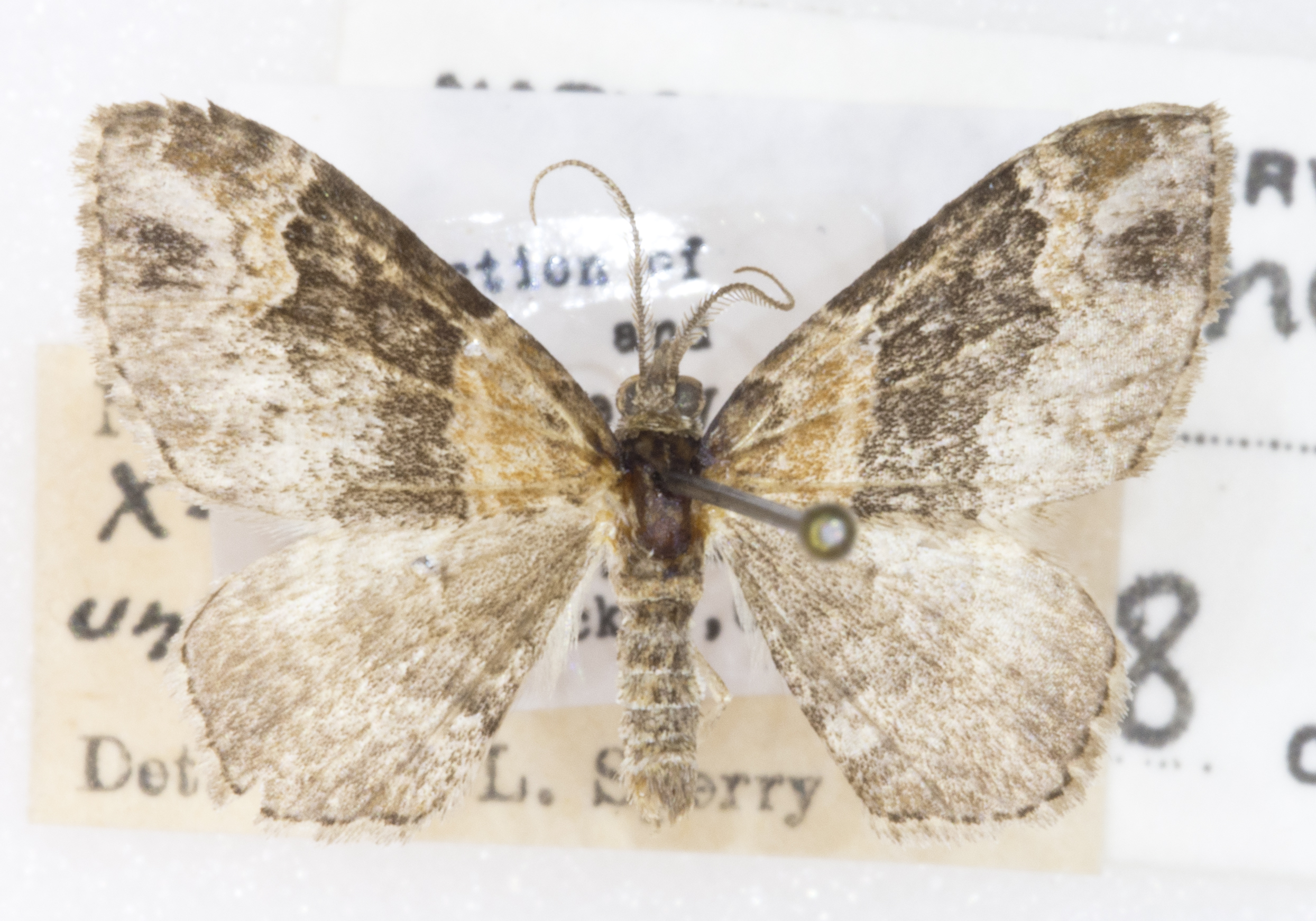 Grand Canyon Museum Collection
Address: 2 Albright Ave, Grand Canyon Village, AZ 86023
Phone: (928) 638-7769
https://www.nps.gov/common/utilities/sendmail/sendemail.cfm?o=6CB7F89AA2FEBAAF91AE1E90DA18A7A1439E528653B8AC914F0CE08011C0&r=/grca/learn/historyculture/muscol.htm