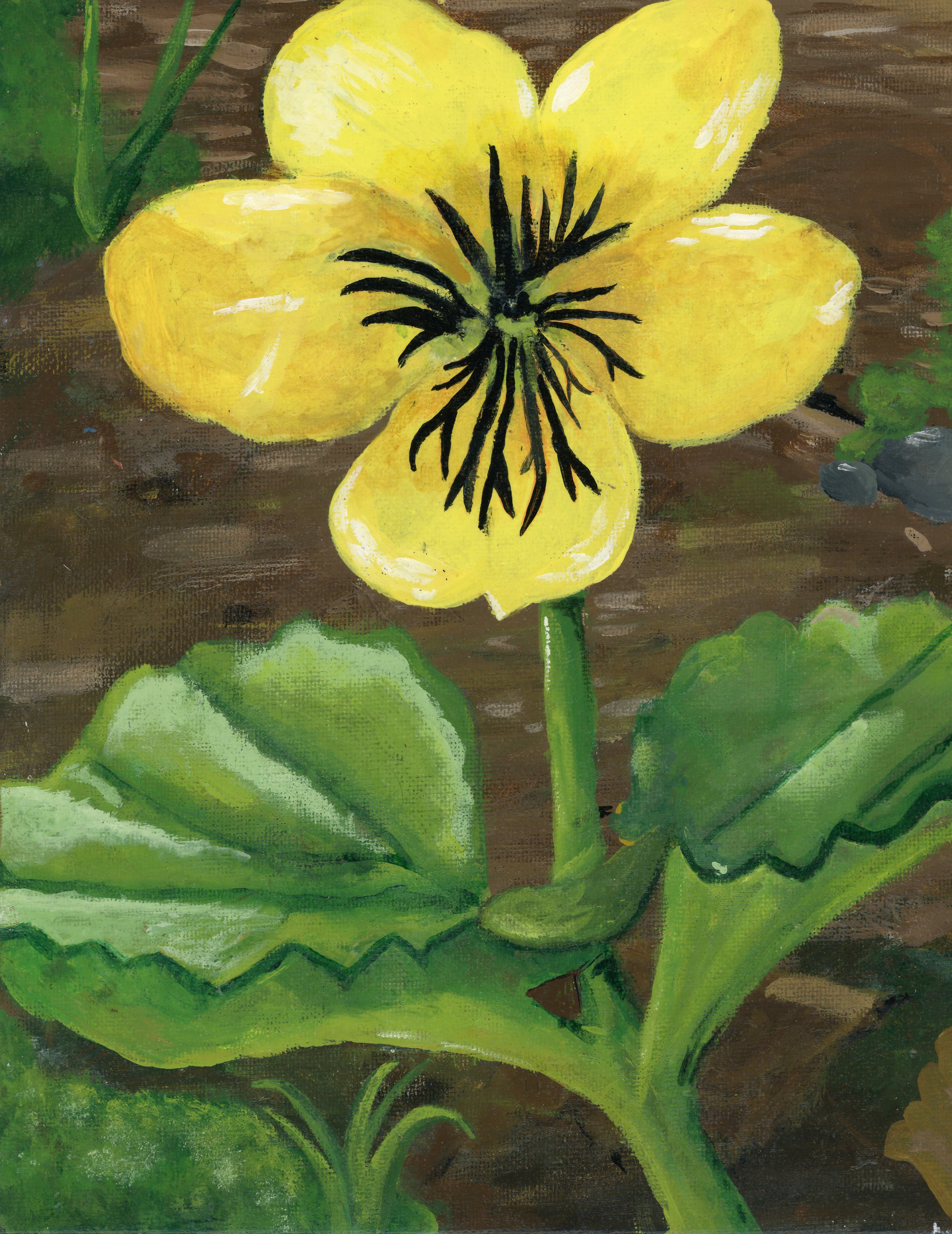 painting of a large yellow flower with big green leaves and a brown background
