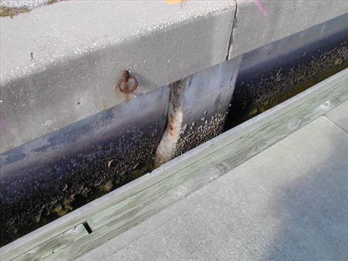 Marina bulkheads at Everglades National Park, Flamingo District in December 2006