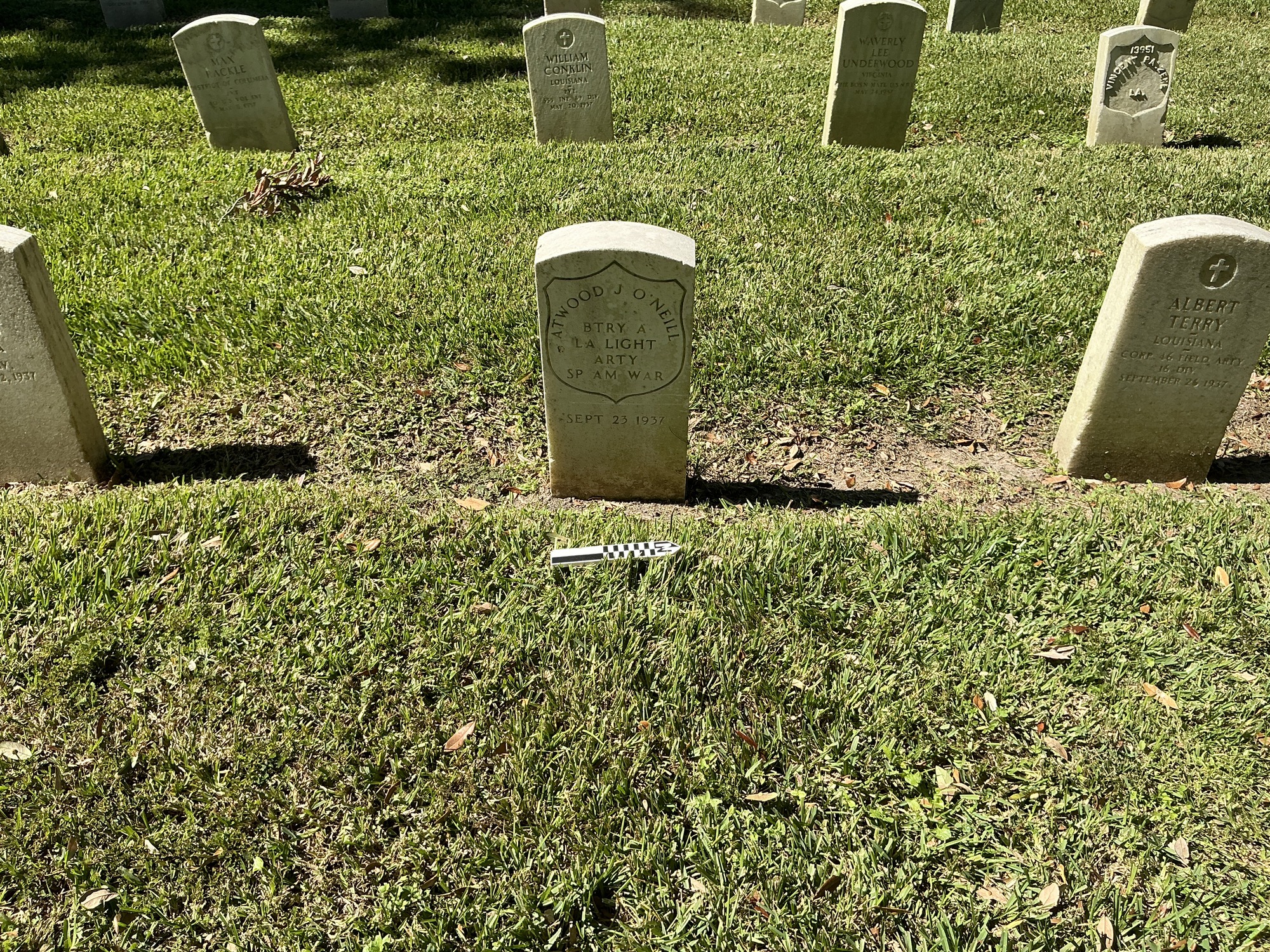 Extra image of historic upright marble headstone with incised shield face.