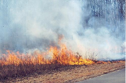Spotsylvania courthouse prescribed burn, 2004