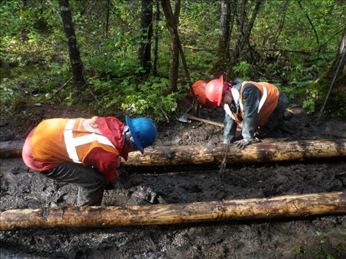 Completed section of 3.67 mile turnpike in Klondike Gold Rush National Historic Park on the Chilkoot Trail in September 2011