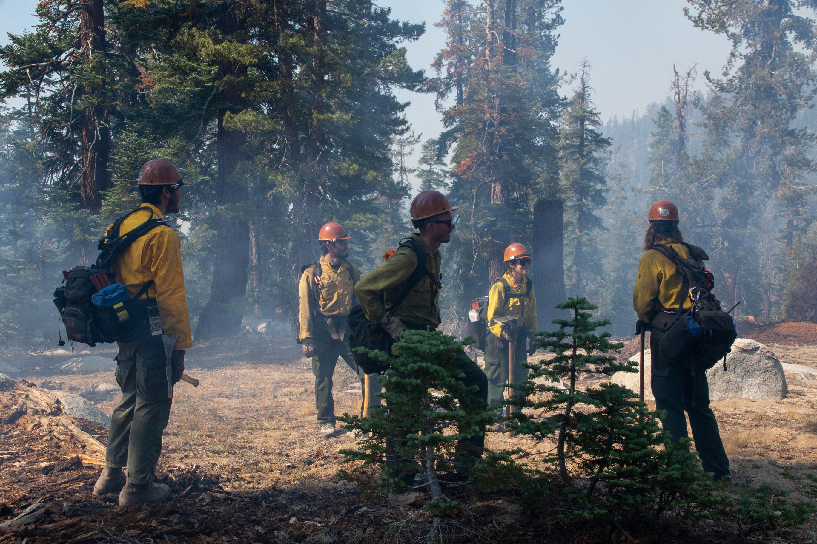 Wildland firefighters walk through wooded areas with smoke and fire around them
