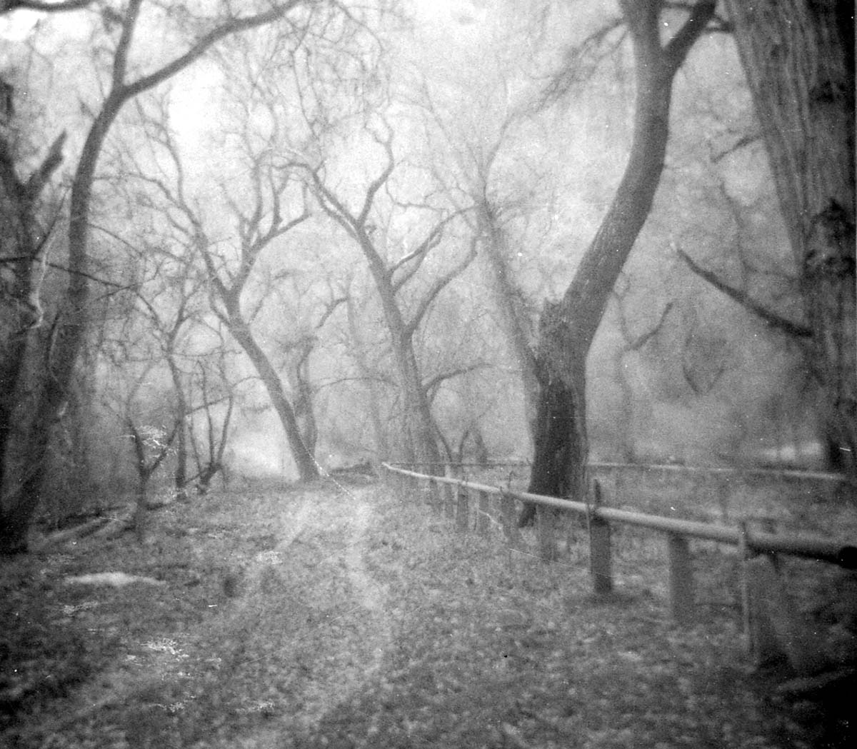 The clearing/cleaning and setting up the lodge spray field.