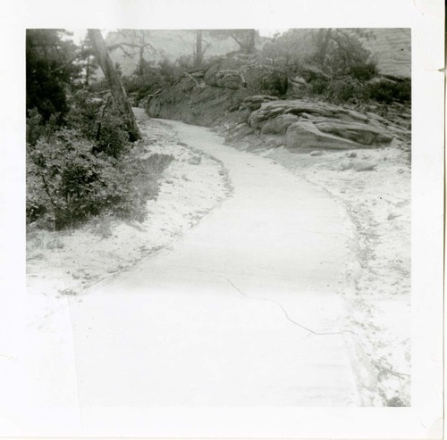 General view of the East Rim trail.