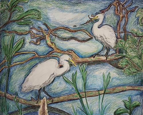 Drawing of two egrets perched on tree branches.