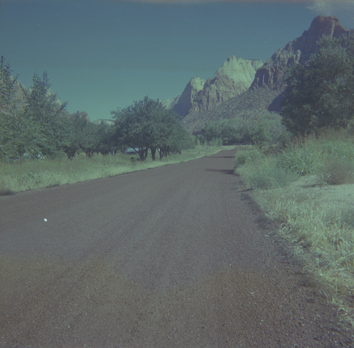 Chipsealing of Zion roads.