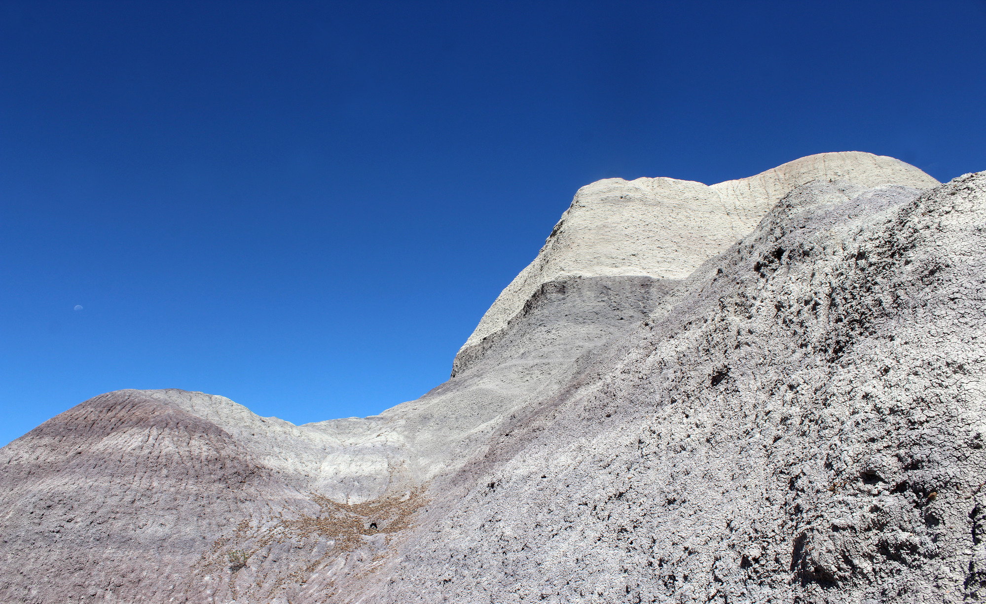 Blue banded badlands of the Blue Mesa Trail
