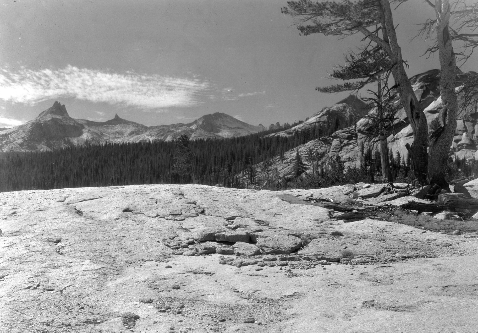 from lower end of Tuolumne Meadows