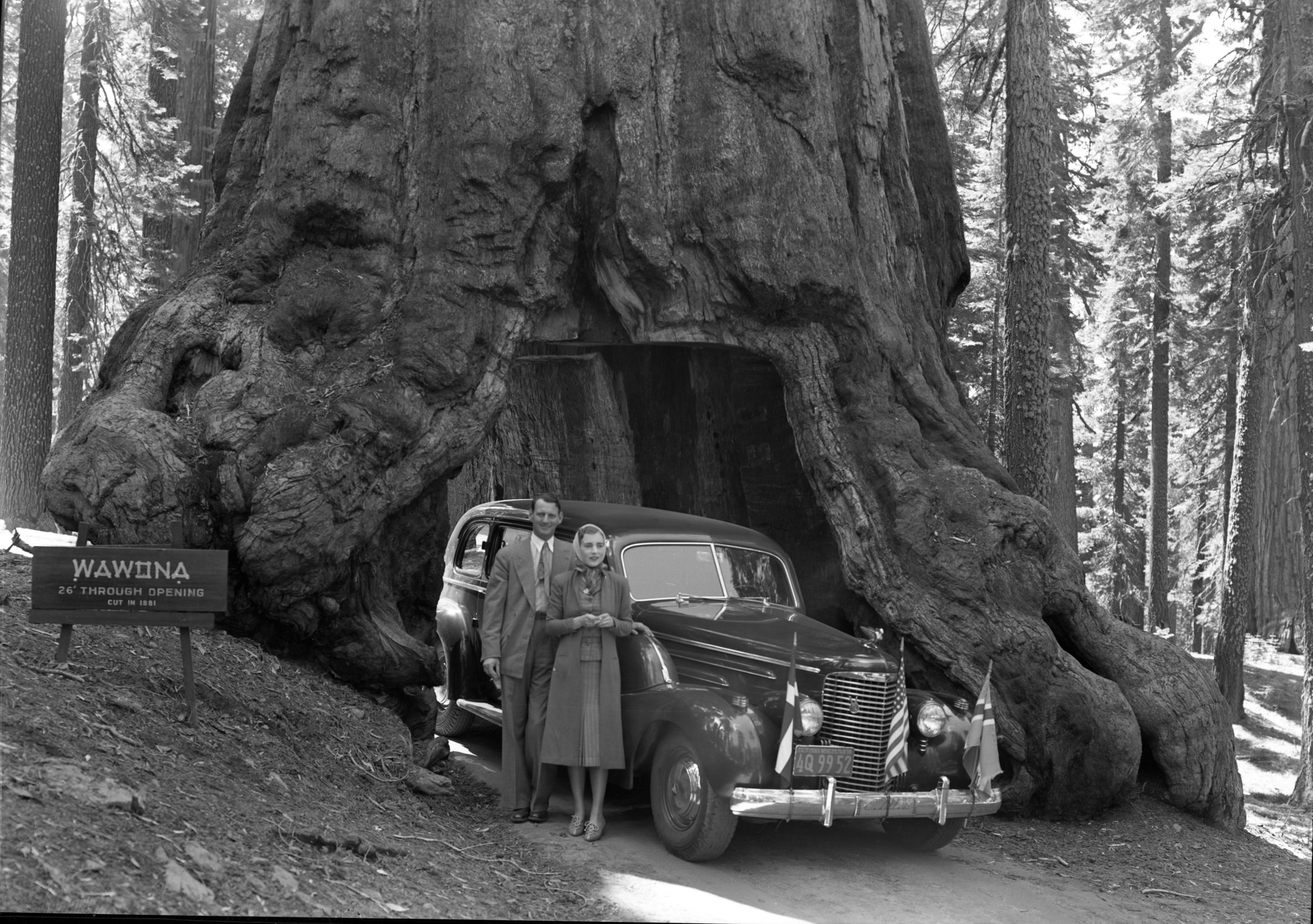 Their Royal Highnesses Crown Prince Frederick and Crown Princess Ingrid of Denmark. (Photo used by Assoc. Press)