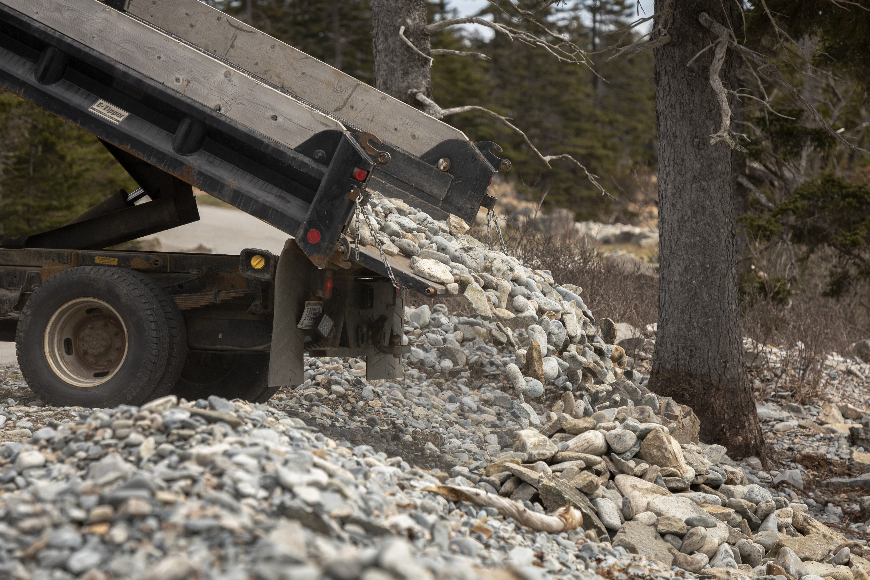 A dump truck with its bed partially raised, unloading rocks and boulders on a roadside, next to a forested area under an overcast sky.