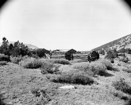 Golden Crown Cabin (several negs)