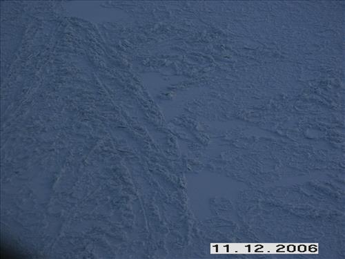 2 Yukon-Charley Rivers National Preserve Moose Survey November 2006