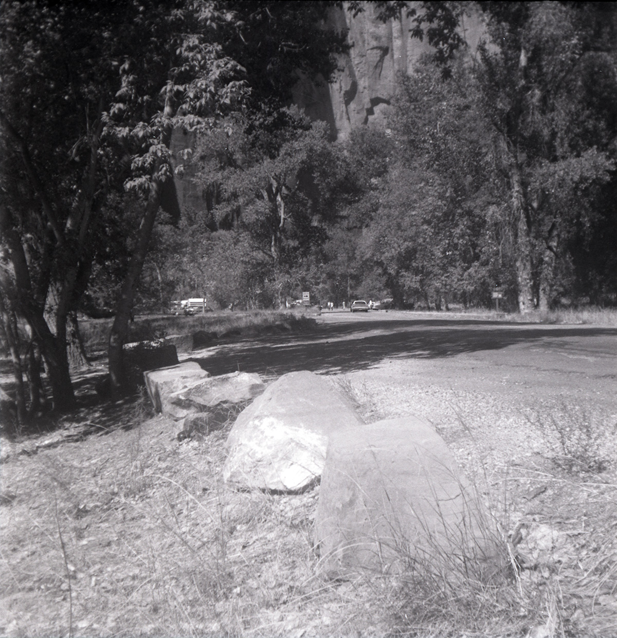 Road lined with stones leading to parking area near the Grotto.