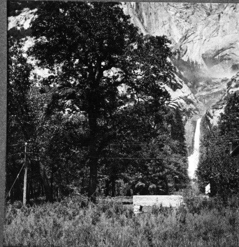 Copy Neg: 1985 by Michael Dixon. The Galen Clark memorial bench at the base of lower Yosemite Fall. The chimney & roof on the far right were probably part of the Y. P. & C. Co.'s maintenance yar. Full stereograph (RL-16,876). [Building was Sovulewski's home - Tim Snyder, February 10, 2003 - built 1910. Bench installed 1911 on south side of Northside Drive.]