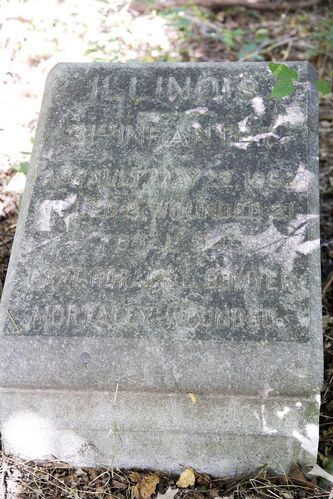 31st Illinois Infantry Position Marker