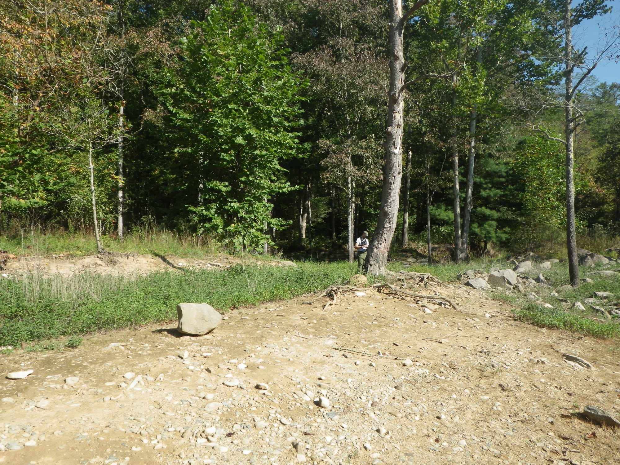 GRSM Accuracy Assessment. Plot Code: GRSM_AA_0140_2