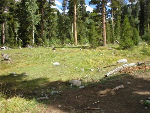 Stock camp, high impact grazing site, Sept. 2003 at Woods Creek Crossing Meadow, Sequoia and Kings Canyon National Park