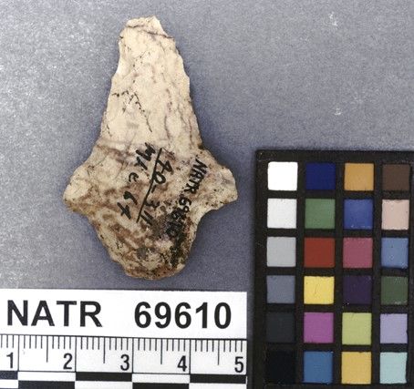 NATR   69610 -- Pickwick projectile point