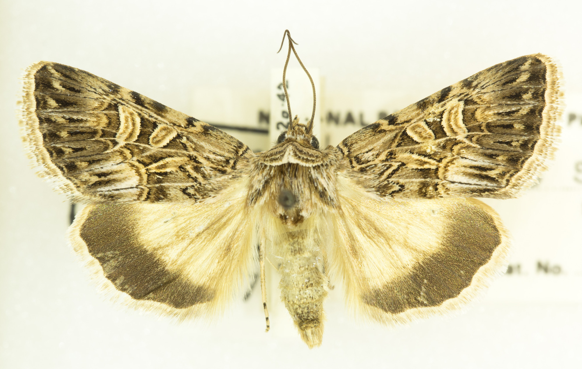 Grand Canyon Museum Collection
Address: 2 Albright Ave, Grand Canyon Village, AZ 86023
Phone: (928) 638-7769
https://www.nps.gov/common/utilities/sendmail/sendemail.cfm?o=6CB7F89AA2FEBAAF91AE1E90DA18A7A1439E528653B8AC914F0CE08011C0&r=/grca/learn/historyculture/muscol.htm