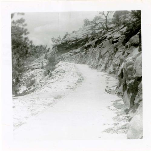General view of the East Rim trail.