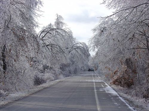 Wilson's Creek National Battlefield Ice Storm, January 2007, Before and During Clean Up