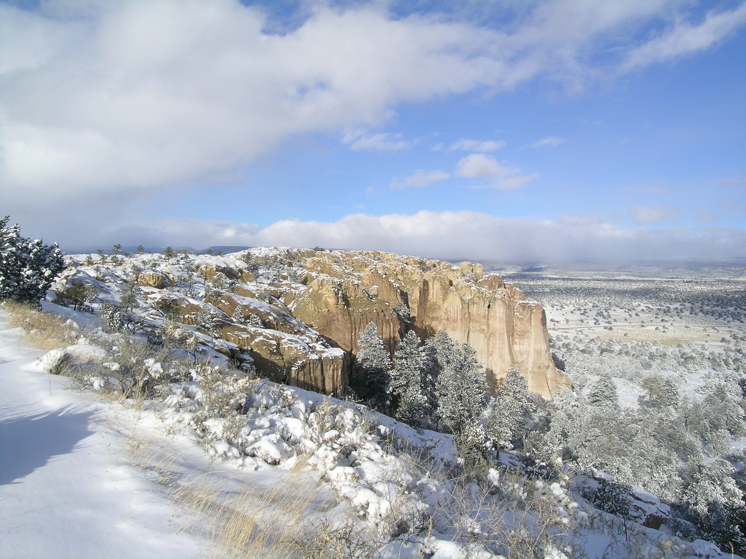 A large cliff juts out from the left, with fluffy clouds low in the sky. Tall trees grow at the cliff base, snow covers the ground.