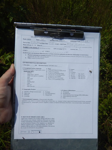 GRSM Accuracy Assessment. Plot Code: GRSM_AA_0719_1