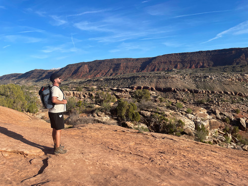 Man standing looking in the distance at desert and rocky landscape.
