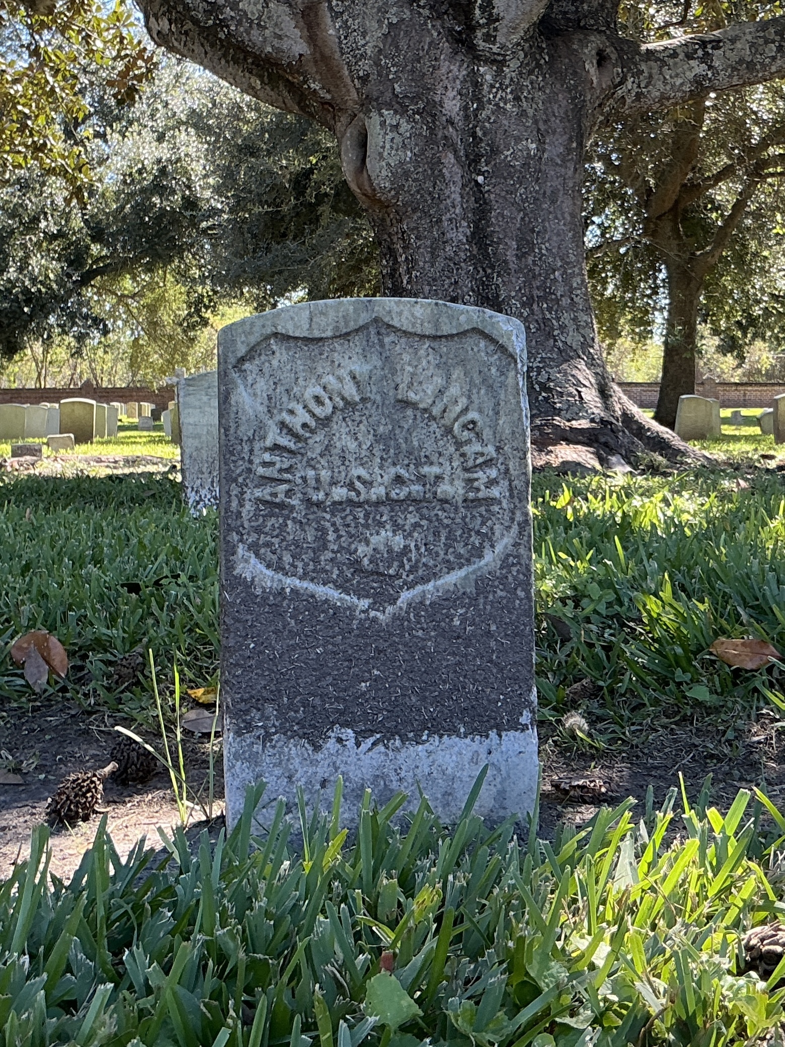 Back of historic upright marble headstone with recessed shield face.