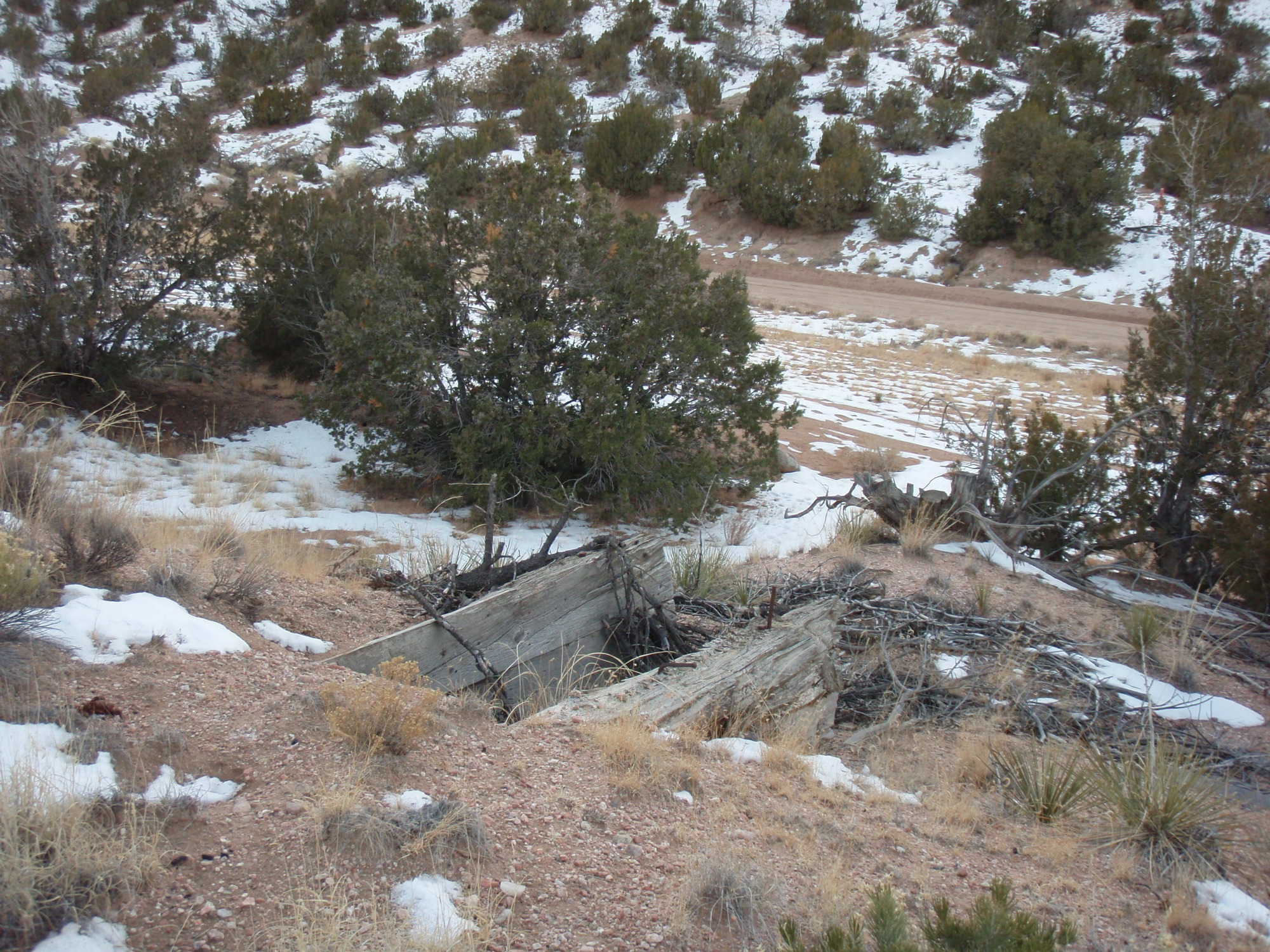 A snow covered hillside with trees and bushes.