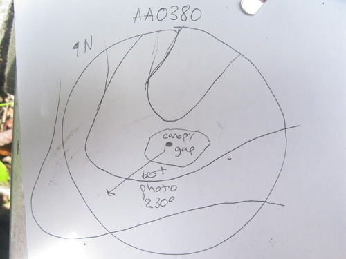 GRSM Accuracy Assessment. Plot Code: GRSM_AA_0380_7