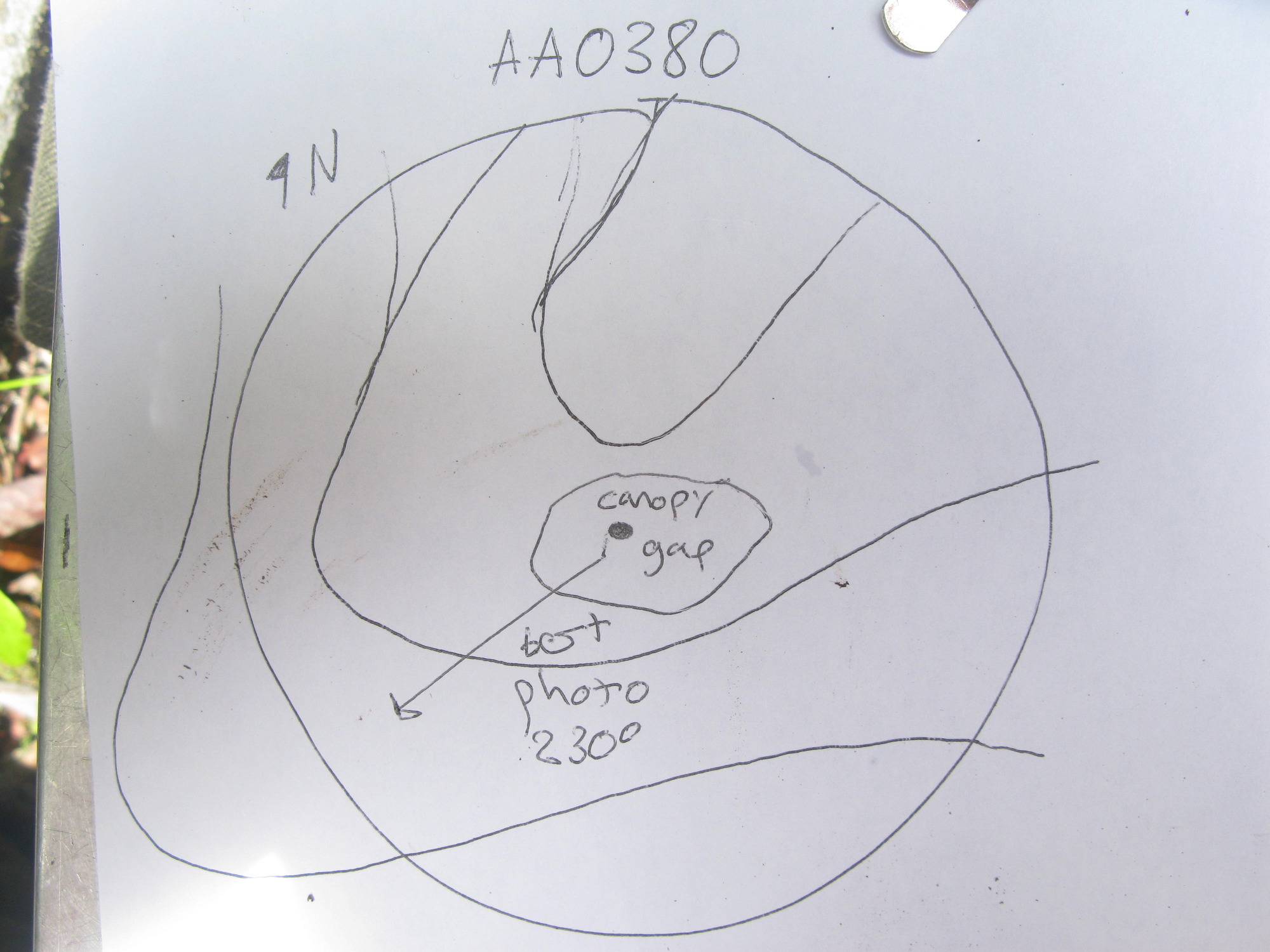 GRSM Accuracy Assessment. Plot Code: GRSM_AA_0380_7