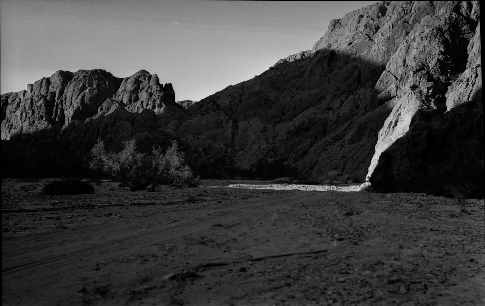 SEKI Roberts Collection Series: 2 Negatives; 10 Outside of the Park