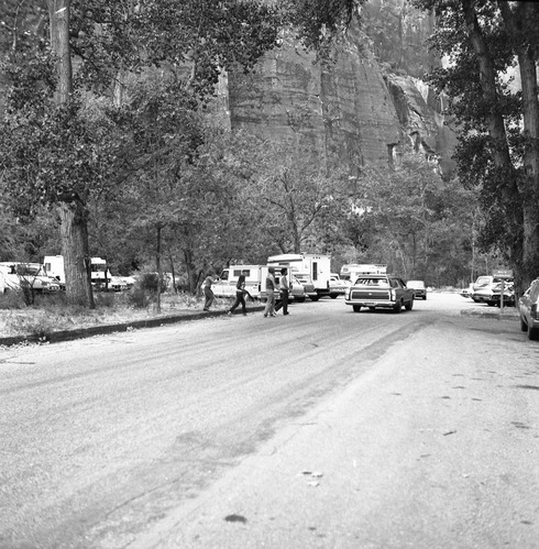 Visitor use - Temple of Sinawava parking area.
