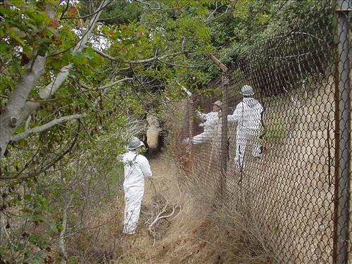 Rec Fee Project: Design And Install Security Systems at Battery Cavallo & Battery Duncan