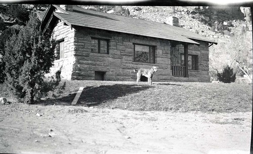 Dog standing in front of Superintendent's residence. Building 1.