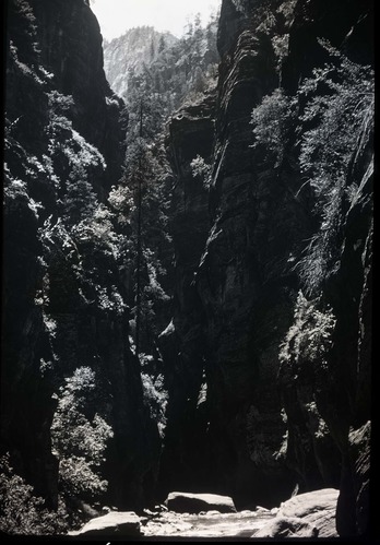 Zion Narrows.
