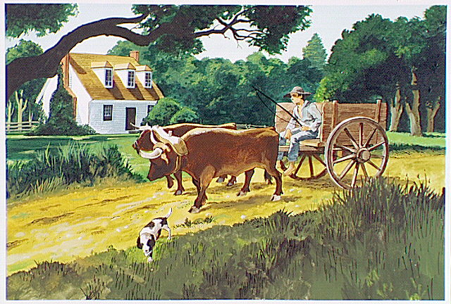 Oxen pulling cart.