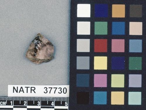 NATR   37730 -- Untyped projectile point