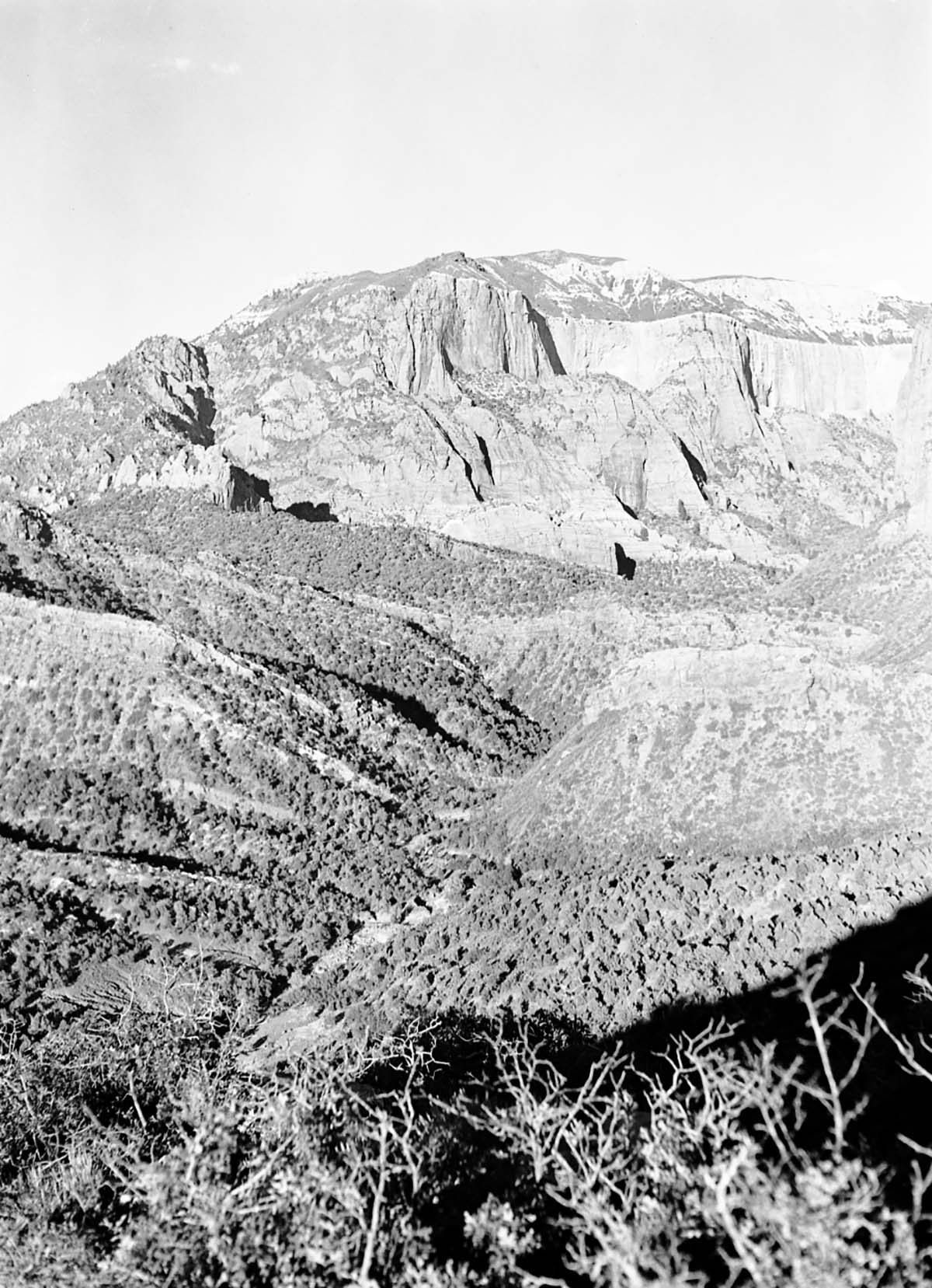 Horse Ranch Mountain.