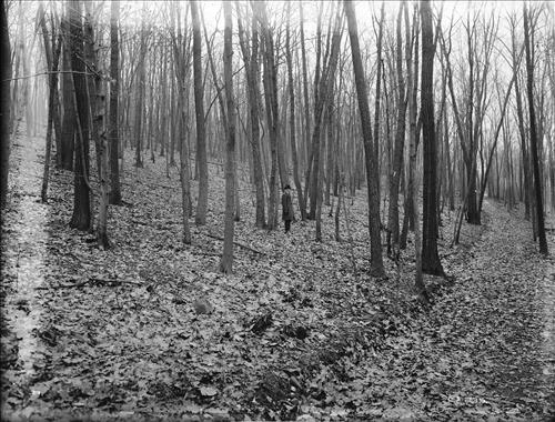 [C5235-CC5244] Mine Brook, NJ