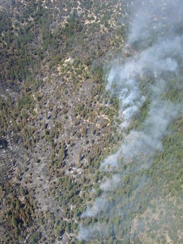 Images of the Comb Complex wildland fire use project taken from park helicopter, Sequoia and Kings Canyon National Parks, summer 2005