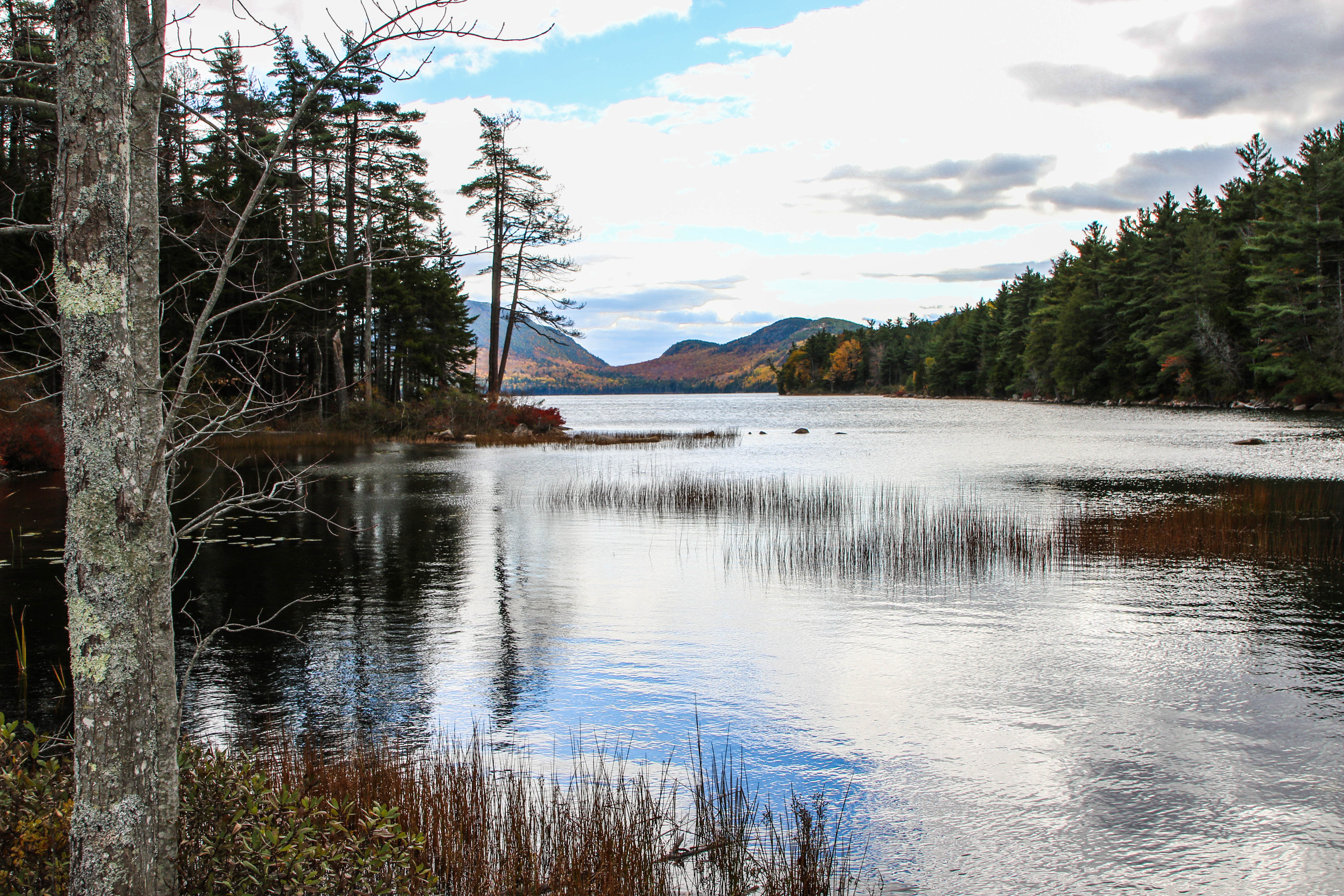 Lake surrounded by forest and small mountains