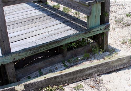 Deferred Maintenance at Dungess and Seacamp Boardwalks in June 2010