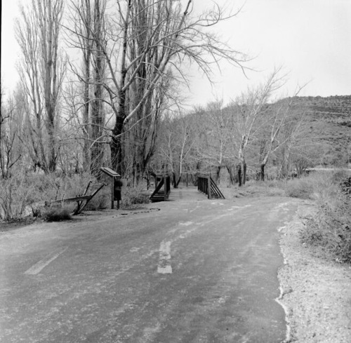Wayside panel exhibits next to road leading to residential area.