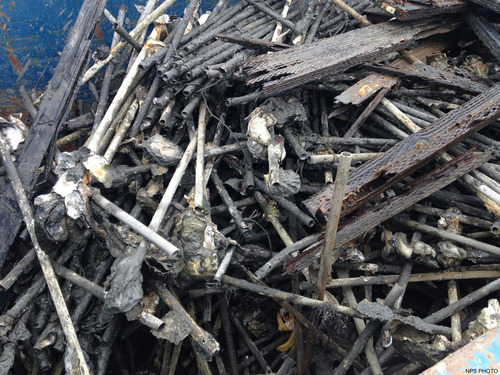 Plastic tubes, metal wire, treated wood, oyster shells, and mud piled on a barge in Drakes Estero.