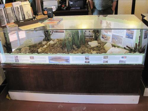 Mojave National Preserve Kelso Depot Visitor Center Exhibits 5 of 5