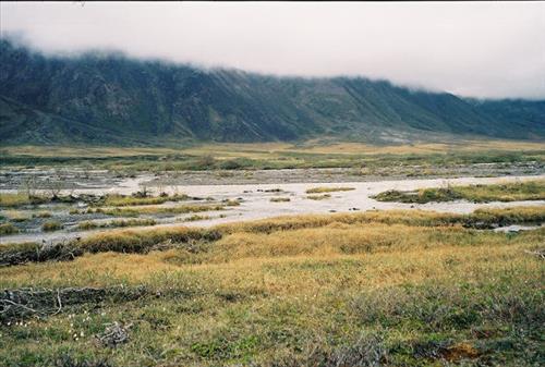 3 Gates of the Arctic National Park and Preserve Itkillik Birds Survey June 2006